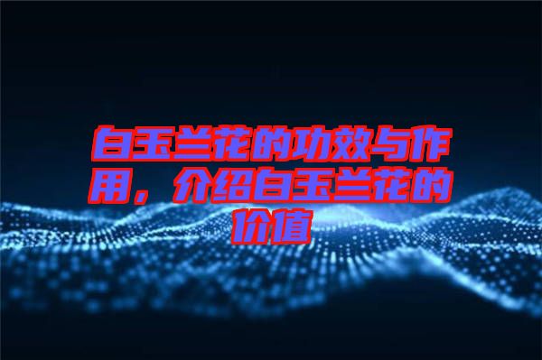 白玉蘭花的功效與作用，介紹白玉蘭花的價值