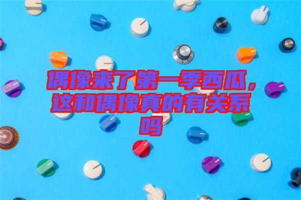 偶像來了第一季西瓜，這和偶像真的有關系嗎