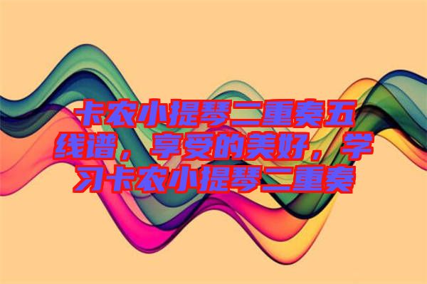 卡農小提琴二重奏五線譜，享受的美好，學習卡農小提琴二重奏