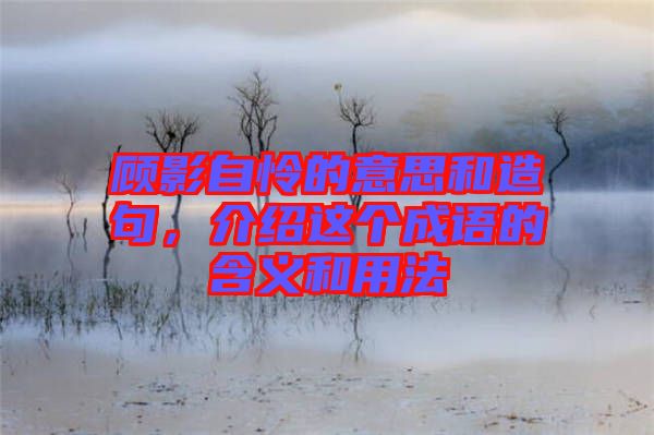 顧影自憐的意思和造句，介紹這個成語的含義和用法