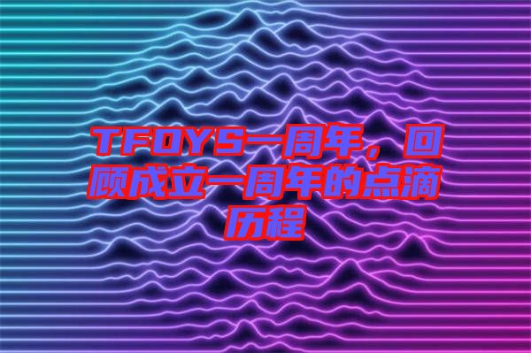 TFOYS一周年，回顧成立一周年的點滴歷程