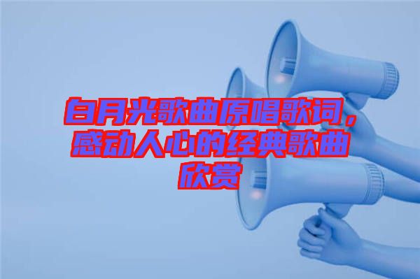 白月光歌曲原唱歌詞，感動人心的經典歌曲欣賞