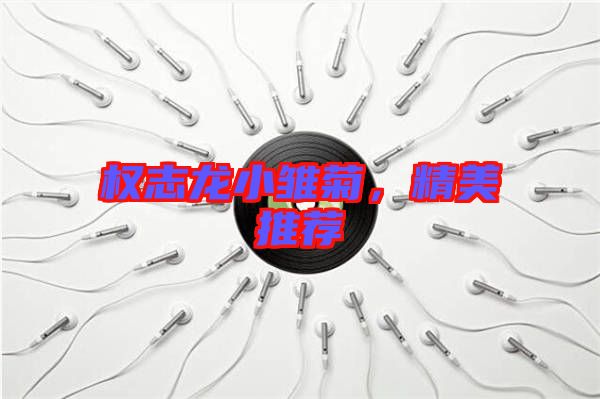 權志龍小雛菊，精美推薦
