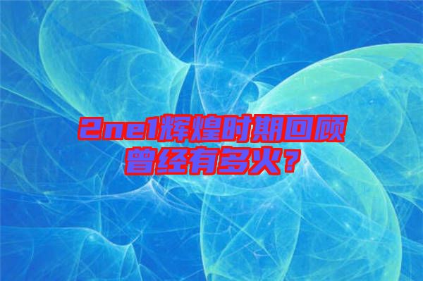2ne1輝煌時期回顧曾經有多火？