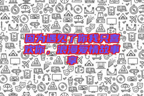 因?yàn)橛鲆娏四阄抑幌矚g你，浪漫愛情故事享