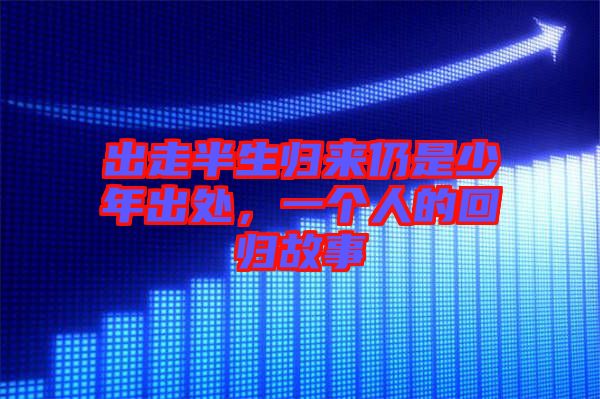 出走半生歸來仍是少年出處，一個(gè)人的回歸故事