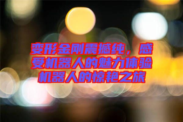 變形金剛震撼純，感受機(jī)器人的魅力體驗(yàn)機(jī)器人的驚艷之旅