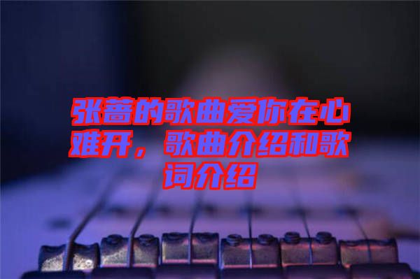張薔的歌曲愛你在心難開，歌曲介紹和歌詞介紹