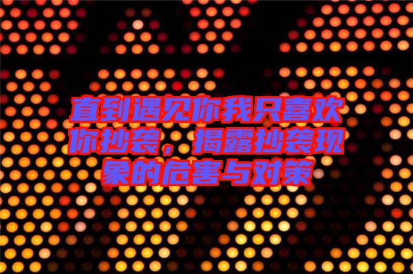 直到遇見你我只喜歡你抄襲，揭露抄襲現象的危害與對策