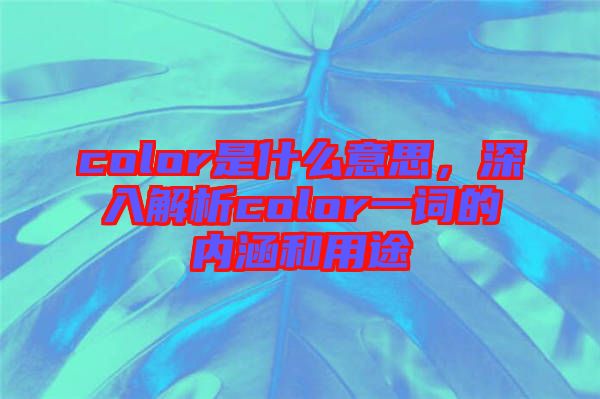 color是什么意思，深入解析color一詞的內涵和用途
