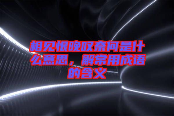 相見恨晚嘆奈何是什么意思，解常用成語的含義