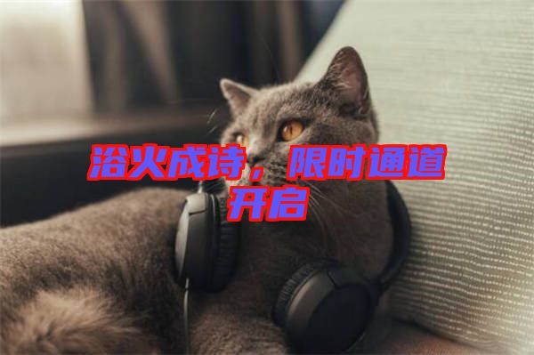浴火成詩，限時通道開啟