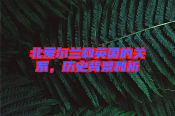 北愛爾蘭和英國的關系，歷史背景和析