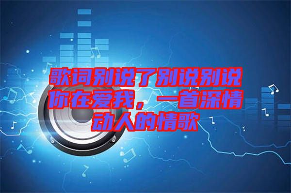 歌詞別說了別說別說你在愛我，一首深情動人的情歌