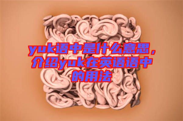 yuk語中是什么意思，介紹yuk在英語語中的用法