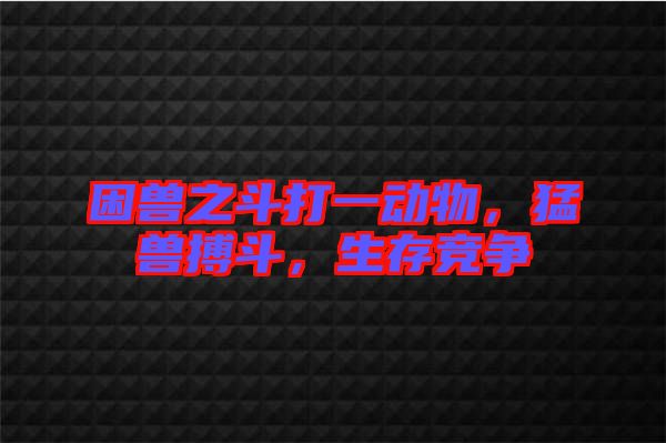 困獸之斗打一動物，猛獸搏斗，生存競爭