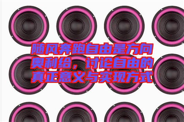 隨風奔跑自由是方向奧利給，討論自由的真正意義與實現(xiàn)方式