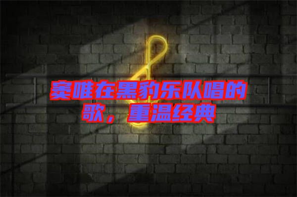 竇唯在黑豹樂隊(duì)唱的歌，重溫經(jīng)典