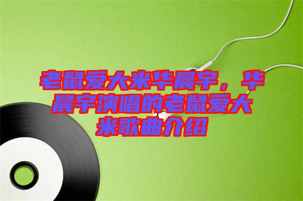 老鼠愛大米華晨宇，華晨宇演唱的老鼠愛大米歌曲介紹