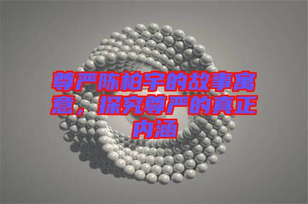 尊嚴(yán)陳柏宇的故事寓意，探究尊嚴(yán)的真正內(nèi)涵