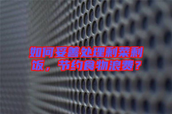 如何妥善處理剩菜剩飯，節(jié)約食物浪費(fèi)？