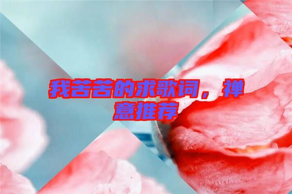 我苦苦的求歌詞，禪意推薦