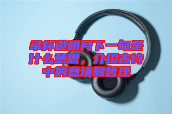 舉杯邀明月下一句是什么意思，介紹古詩中的意境和哲理