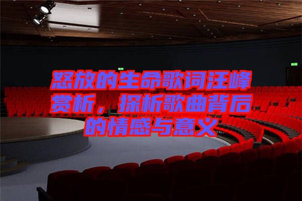 怒放的生命歌詞汪峰賞析，探析歌曲背后的情感與意義