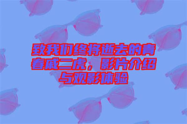 致我們終將逝去的青春戚二虎，影片介紹與觀影體驗