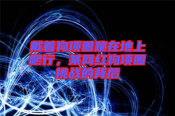 戴著狗項圈跪在地上爬行，某網紅狗項圈挑戰的背后