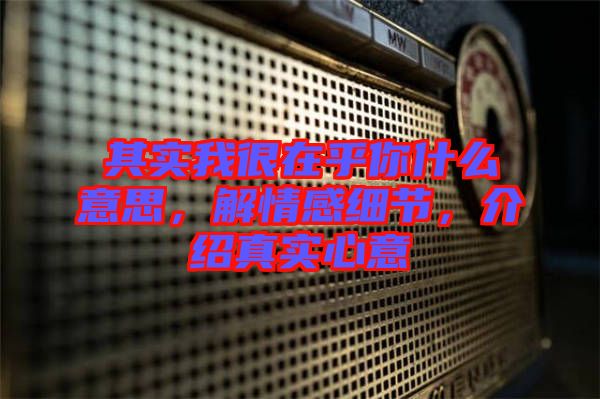 其實我很在乎你什么意思，解情感細(xì)節(jié)，介紹真實心意