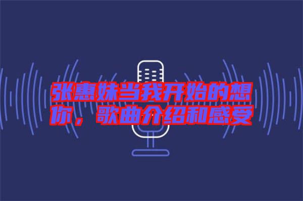 張惠妹當我開始的想你，歌曲介紹和感受
