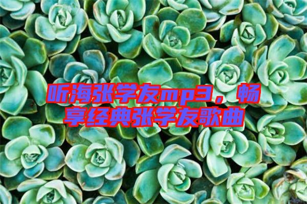 聽海張學友mp3，暢享經典張學友歌曲
