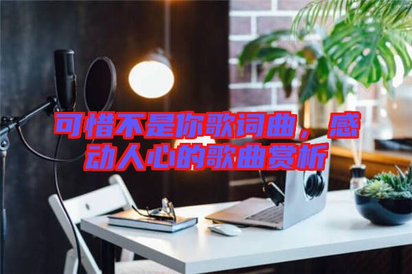 可惜不是你歌詞曲，感動人心的歌曲賞析