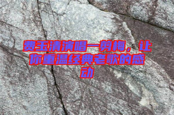 費玉清演唱一剪梅，讓你重溫經(jīng)典老歌的感動