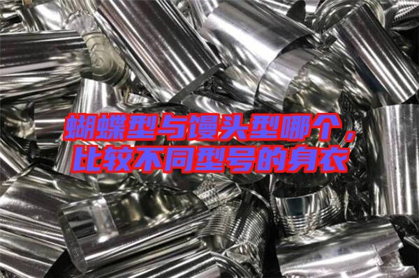 蝴蝶型與饅頭型哪個，比較不同型號的身衣