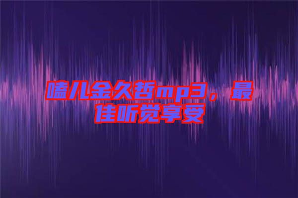嗑兒金久哲mp3，最佳聽覺享受