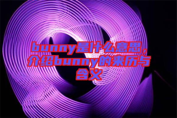 bunny是什么意思，介紹bunny的來歷與含義