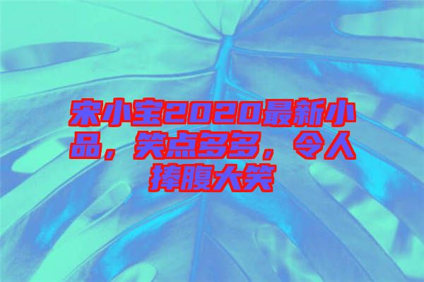 宋小寶2020最新小品，笑點多多，令人捧腹大笑