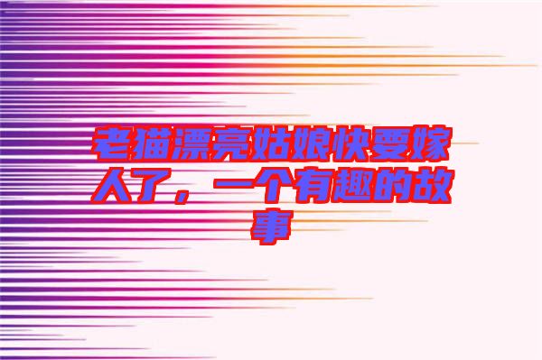 老貓漂亮姑娘快要嫁人了，一個有趣的故事