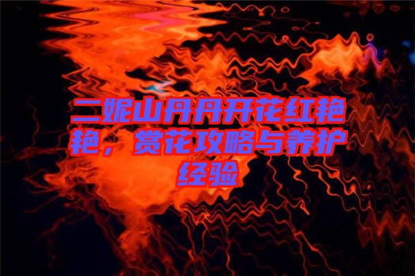 二妮山丹丹開花紅艷艷，賞花攻略與養護經驗