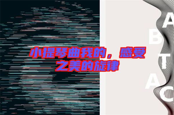 小提琴曲我的，感受之美的旋律