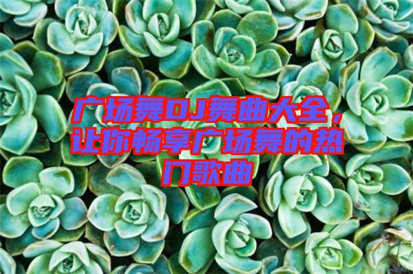 廣場舞DJ舞曲大全，讓你暢享廣場舞的熱門歌曲