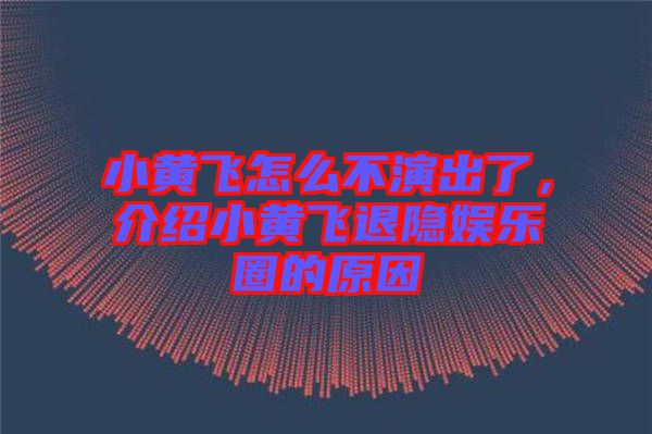 小黃飛怎么不演出了，介紹小黃飛退隱娛樂圈的原因