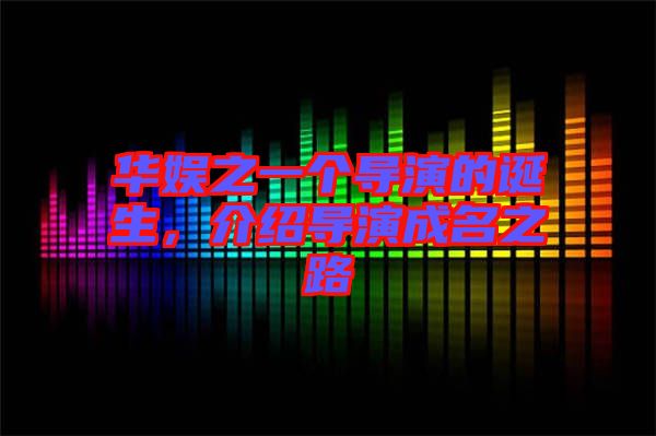 華娛之一個導演的誕生，介紹導演成名之路