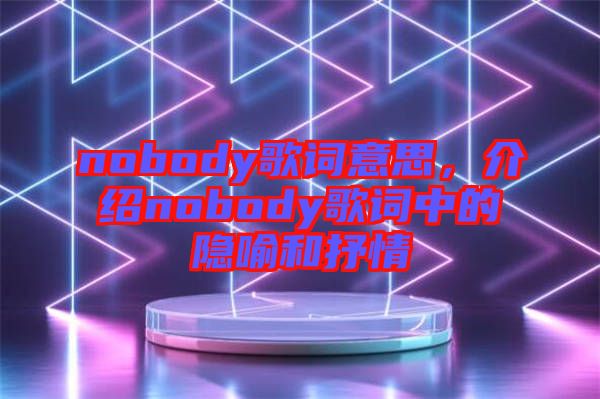 nobody歌詞意思，介紹nobody歌詞中的隱喻和抒情