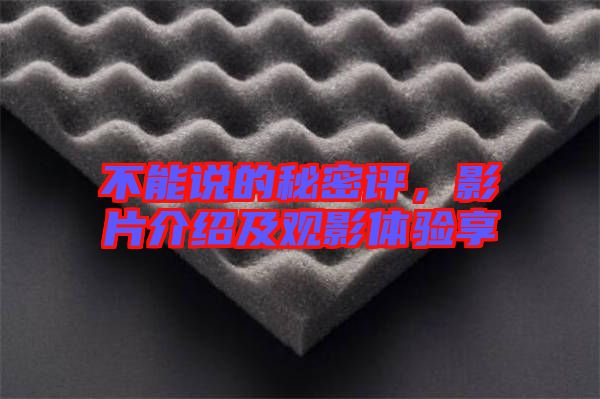 不能說(shuō)的秘密評(píng)，影片介紹及觀影體驗(yàn)享