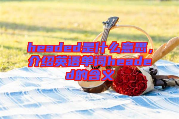 headed是什么意思，介紹英語單詞headed的含義
