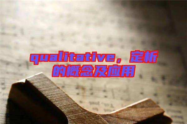 qualitative，定析的概念及應用