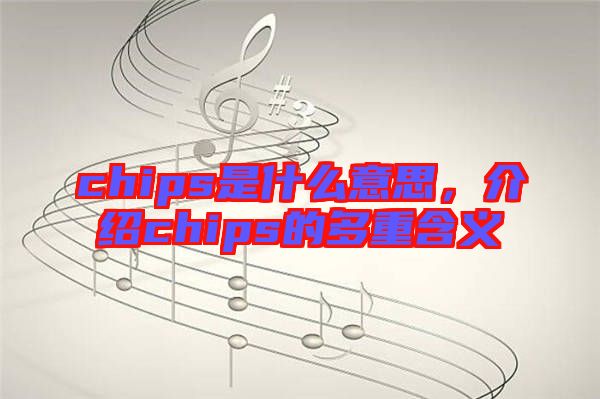 chips是什么意思，介紹chips的多重含義
